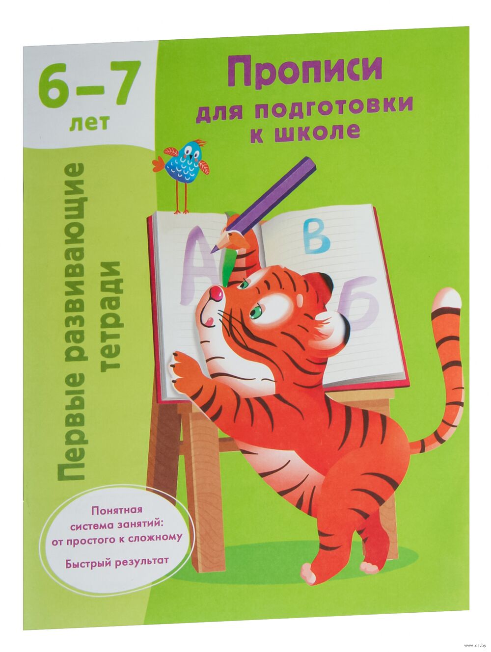 Прописи для подготовки к школе. 6-7 лет