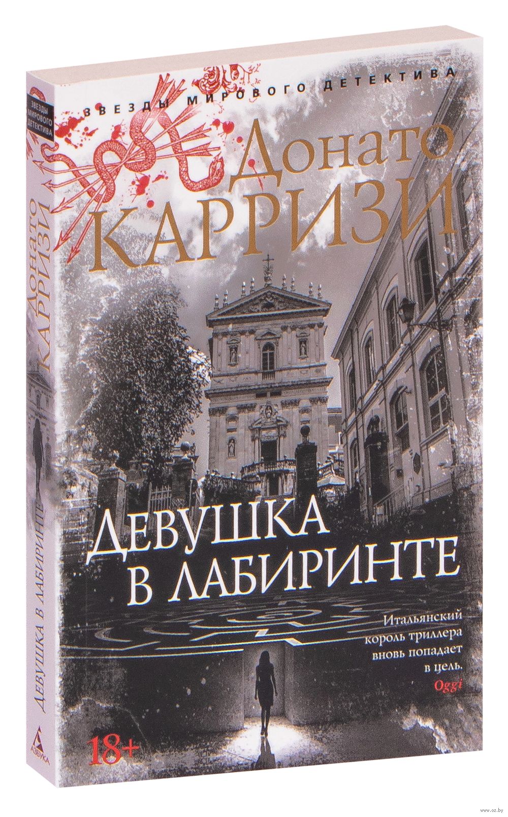 Девушка в лабиринте Донато Карризи - купить книгу Девушка в лабиринте в  Минске — Издательство Азбука на OZ.by