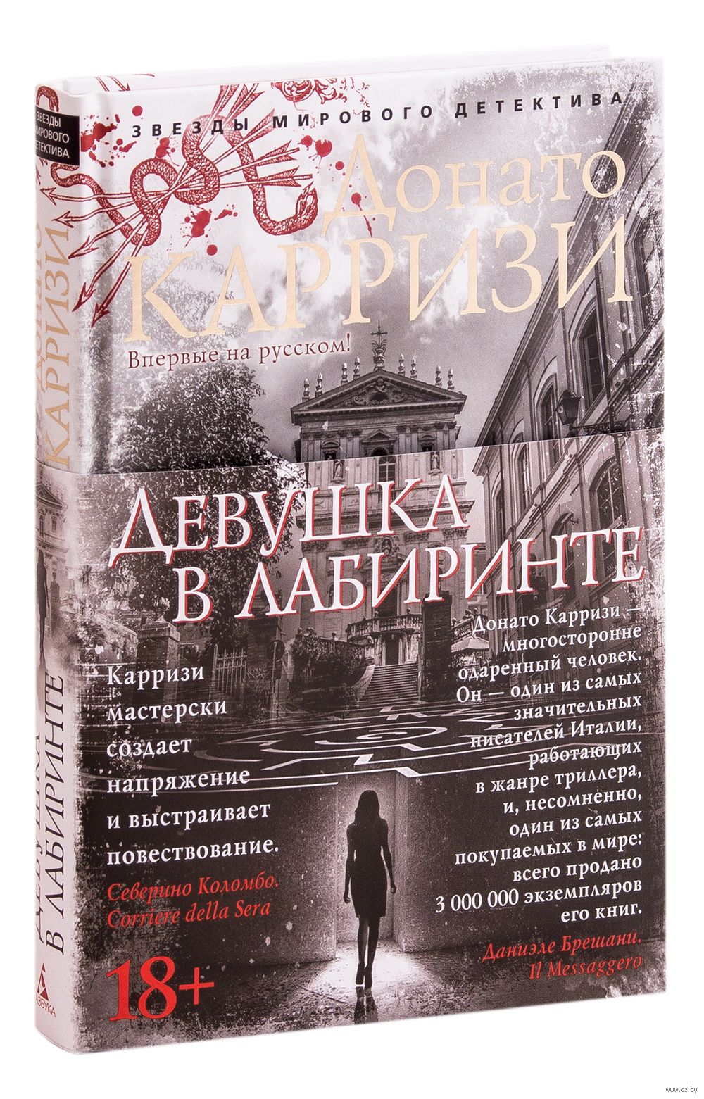 Девушка в лабиринте Донато Карризи - купить книгу Девушка в лабиринте в  Минске — Издательство Азбука на OZ.by