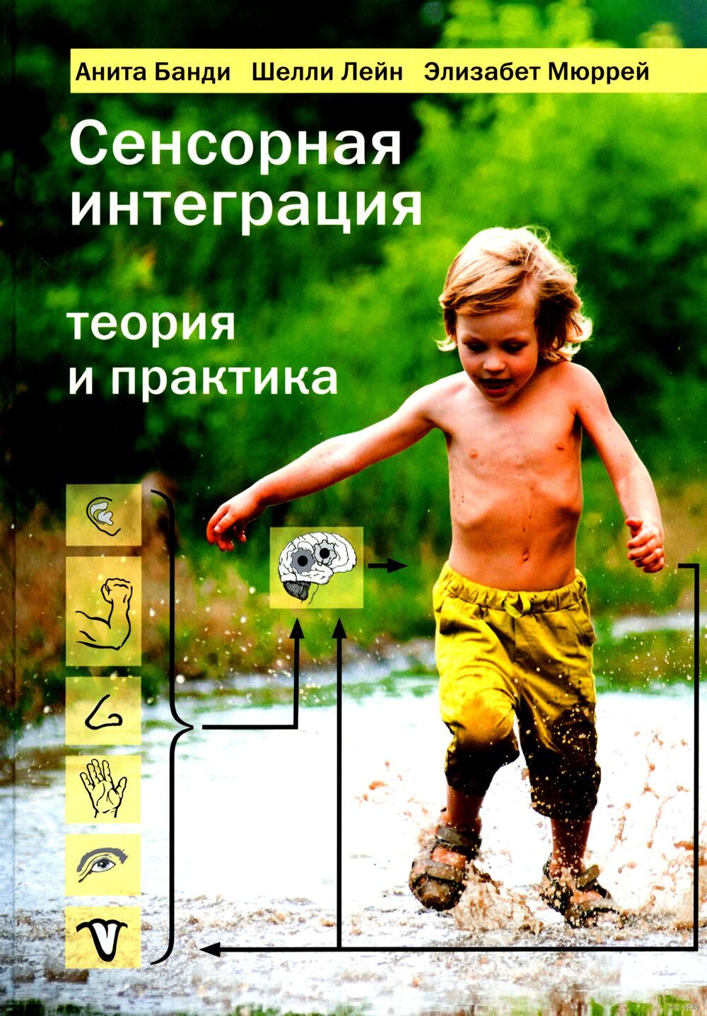 Сенсорная интеграция теория и практика