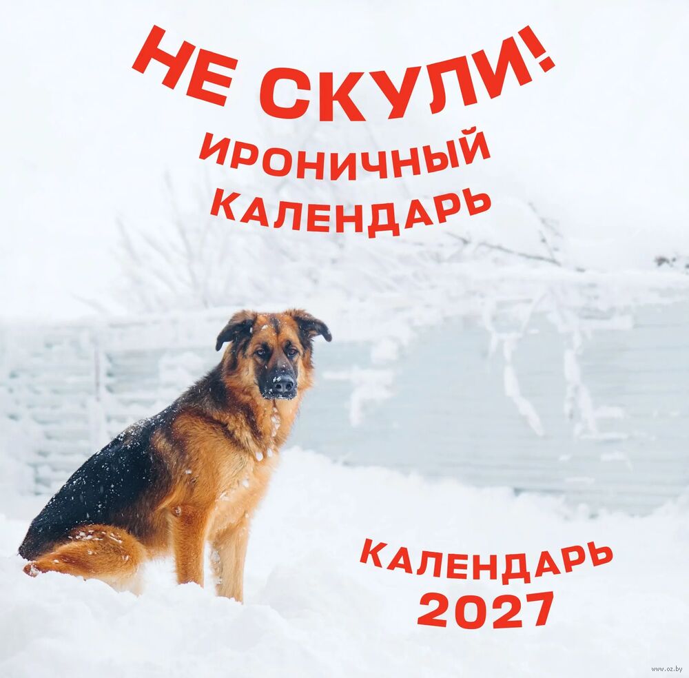 Календарь настенный на 2027 год "Не скули" (30х30 см)