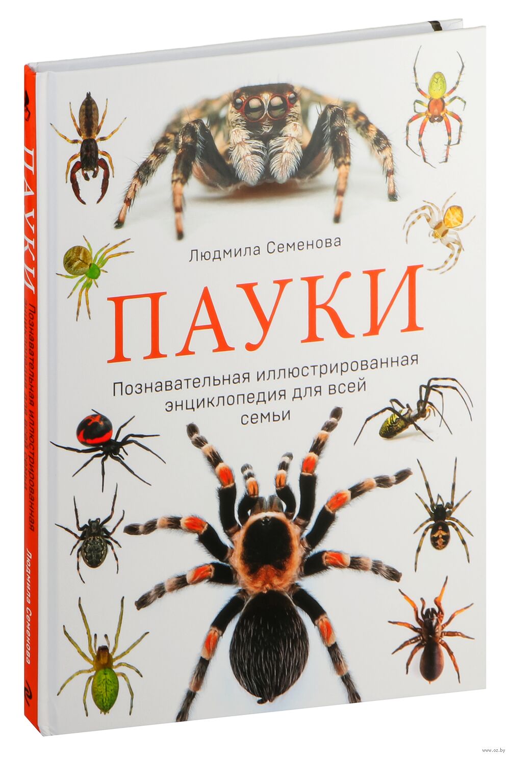 Пауки. Познавательная иллюстрированная энциклопедия для всей семьи Людмила  Семёнова - купить книгу Пауки. Познавательная иллюстрированная энциклопедия  для всей семьи в Минске — Издательство Эксмо на OZ.by