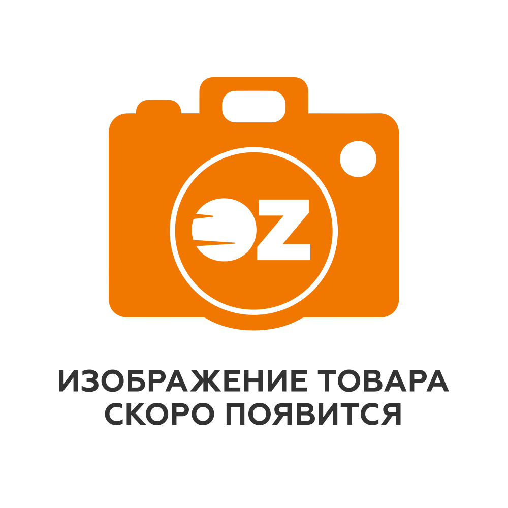 Контрольное списывание. Тетрадь-тренажёр по русскому языку. 2 класс