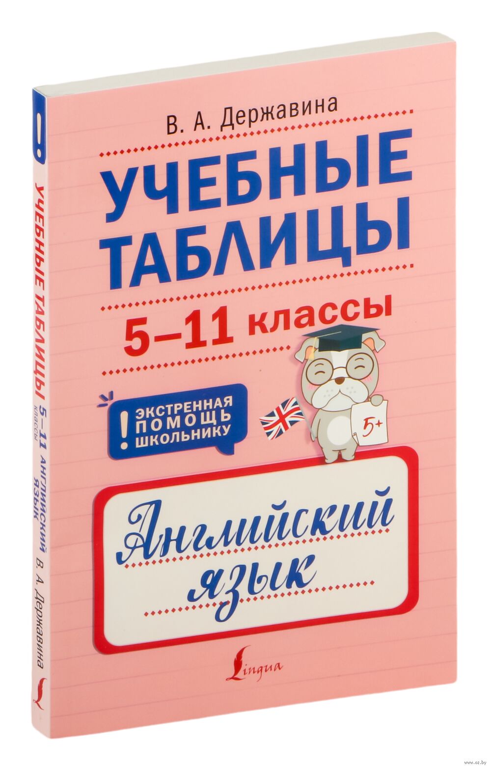 Учебные таблицы. Английский язык. 5-11 классы Виктория Державина : купить в  Минске в интернет-магазине — OZ.by