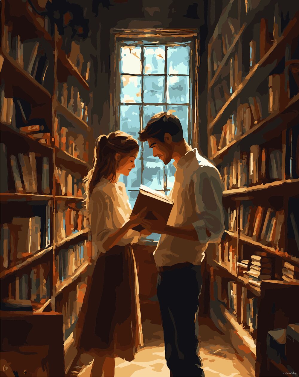 Картина по номерам "Книжный роман" (400х500 мм)