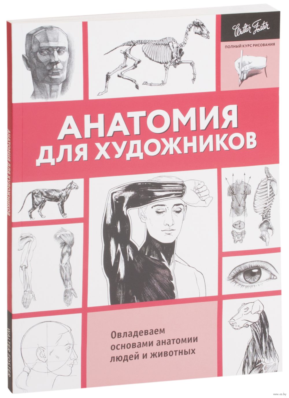 книга анатомия для художников. анатомия для художников дюваль (м. могилевцев анатомия книга. ю. готтфрид баммес образ человека.