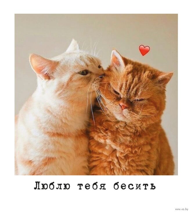 Открытка "Люблю тебя бесить"