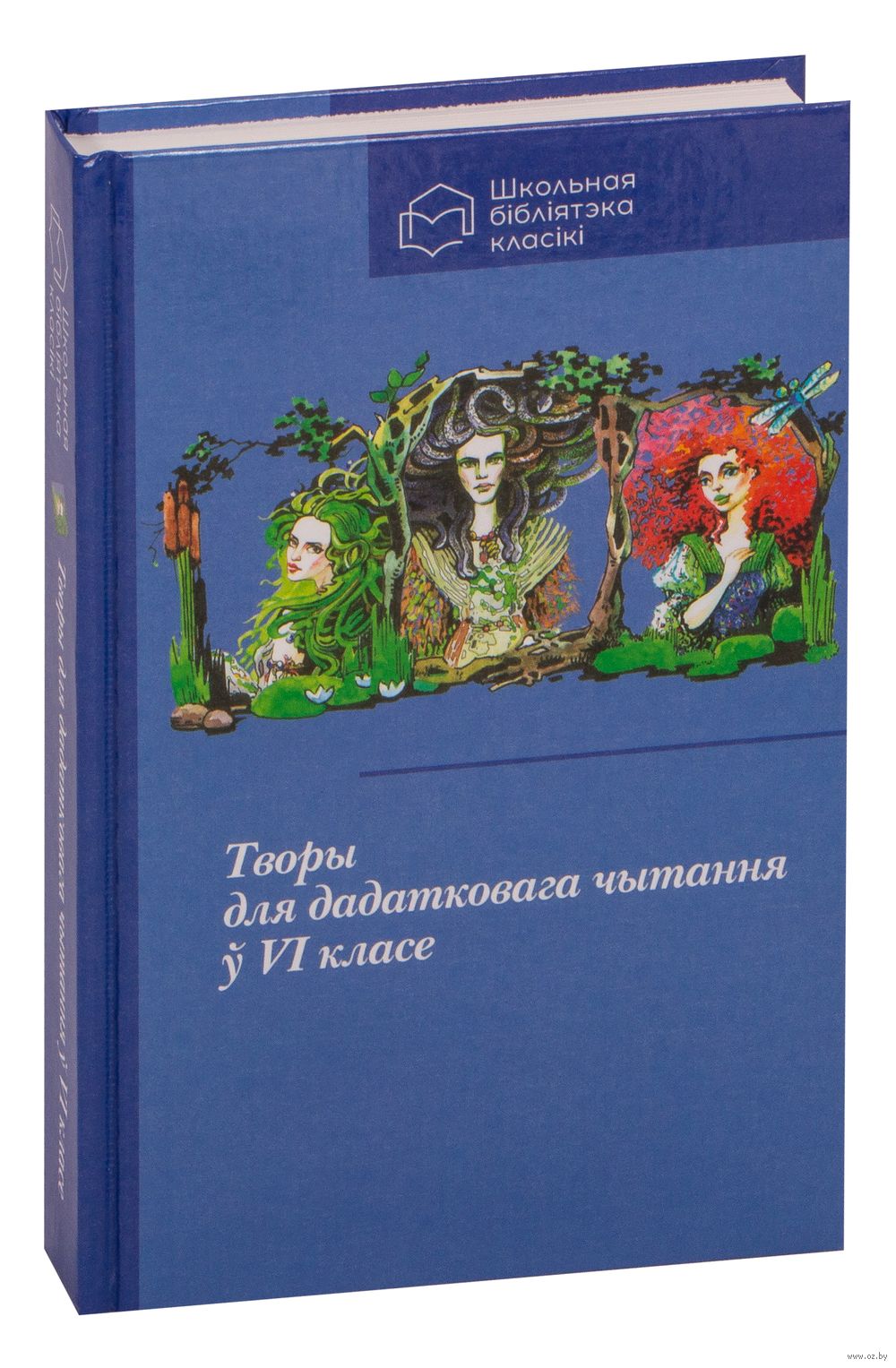 Творы для дадатковага чытання ў VI класе