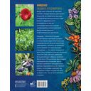 Травник. Большая энциклопедия лекарственных растений — фото, картинка — 16