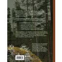 Шаманчай: год в гармонии с природой. Книга о растениях, их силах и применении — фото, картинка — 16