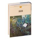 Роза Мира — фото, картинка — 106