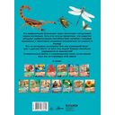 Насекомые — фото, картинка — 1