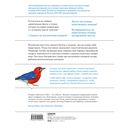 Каково быть птицей. О полетах и гнездовании, кормлении и пении — фото, картинка — 35