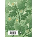 Листья травы — фото, картинка — 21