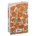 Рилла из Инглсайда — фото, картинка — 15