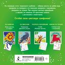 Цветовая симфония. Раскрась наклейками, по номерам, по пикселям, обведи по точкам — фото, картинка — 6