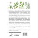 Травник. Лекарственные растения от А до Я — фото, картинка — 16