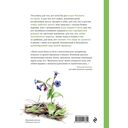 Жужжание жука. Полевые и не очень дневники орнитолога — фото, картинка — 14