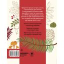 Окружающий мир. Растения и грибы — фото, картинка — 1