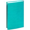 Русская канарейка. Блудный сын — фото, картинка — 67