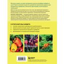 Больше чем 5 соток. Как на маленьком участке получить максимум урожая — фото, картинка — 21