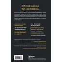Достижения мозга. Как этот орган стал самой сложной и влиятельной частью тела человека — фото, картинка — 15