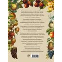 Русский сад и огород. Занимательная история плодов и овощей — фото, картинка — 11