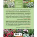 Цветники. 85 лучших композиций — фото, картинка — 29