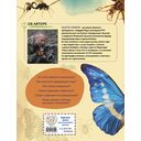 Насекомые мира. Детская энциклопедия — фото, картинка — 18