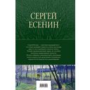Полное собрание лирики в одном томе — фото, картинка — 114