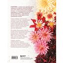 Георгины. Необыкновенные цветы для дома и сада — фото, картинка — 16