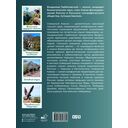Северный Кавказ. Уникальная Россия — фото, картинка — 1