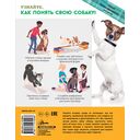 Собаки. Полное руководство для детей — фото, картинка — 15