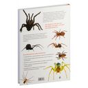 Пауки. Познавательная иллюстрированная энциклопедия для всей семьи — фото, картинка — 22