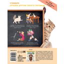 Кошки. Полное руководство для детей — фото, картинка — 15