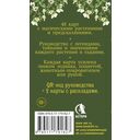 Зелёный оракул ведуньи. Тайная сила природной магии — фото, картинка — 1