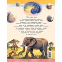 Сказки из дорожного чемодана — фото, картинка — 12