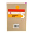 Беларуская літаратура. План-канспект урокаў. 5 клас — фото, картинка — 13