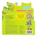 Животные леса — фото, картинка — 4