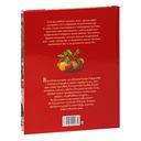 Рождественская песнь — фото, картинка — 8