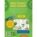 Что такое? Кто такой? — фото, картинка — 12