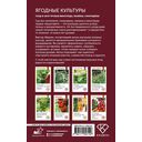 Ягодные культуры. Уход и сбор урожая винограда, малины, смородины — фото, картинка — 1