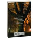 Полет аистов — фото, картинка — 30