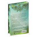 Легенда о разорении династий. Книга 1. Снег и туман — фото, картинка — 20