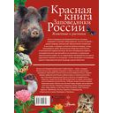Красная книга Заповедники России. Животные и растения — фото, картинка — 16