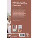 Грибная ферма для начинающих. От споры до прилавка — фото, картинка — 14