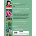 Секреты малоуходного сада. Как создать дизайн участка с неприхотливыми декоративными растениями — фото, картинка — 16