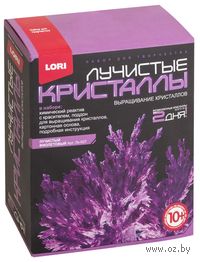 Набор для выращивания кристаллов "Лучистые кристаллы. Фиолетовый"