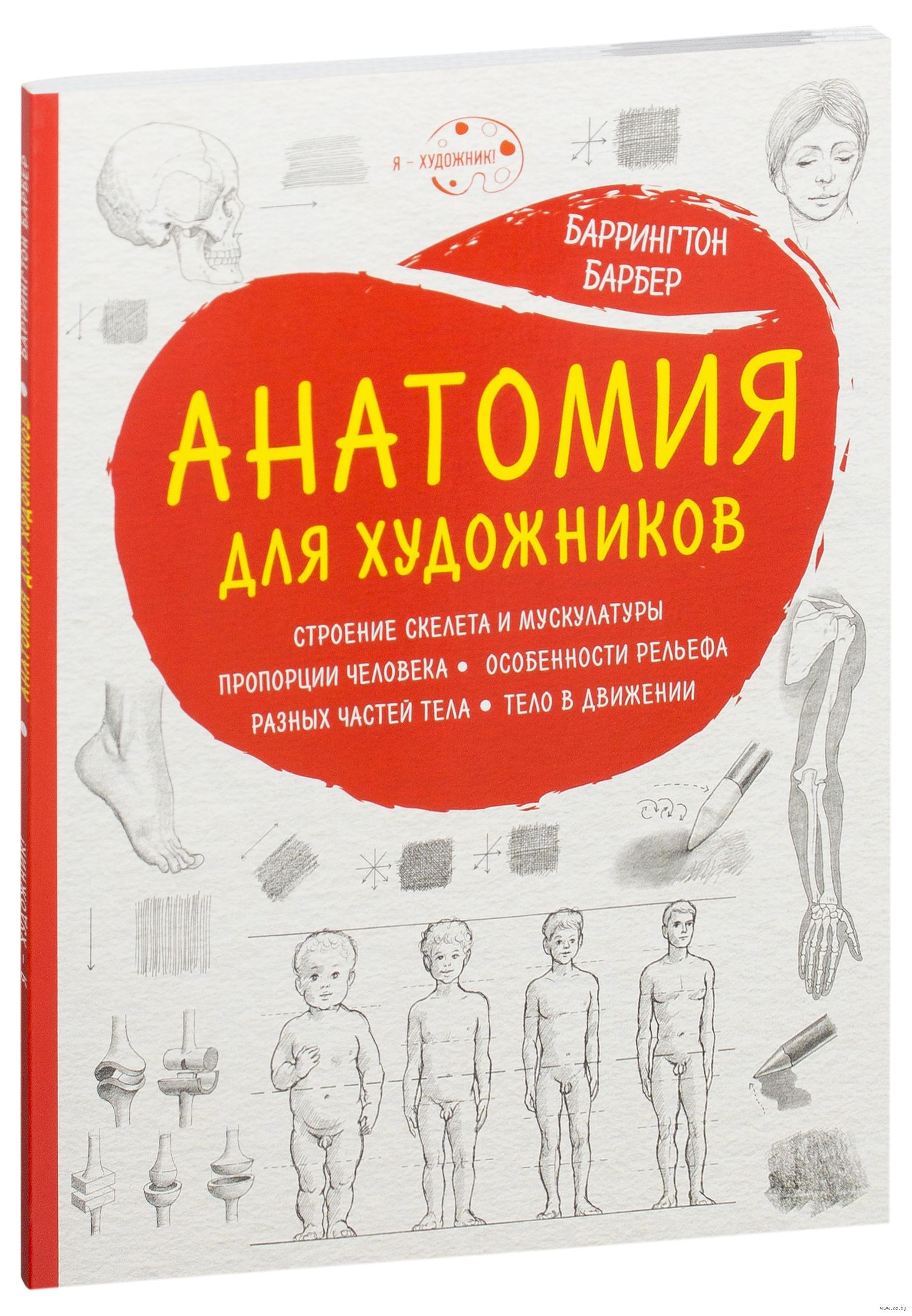 Книги для художников. Баррингтон барбер анатомия для художников. Книга анатомия для художников Баррингтон барбер. Анатомия для художника книга барбер. Анатомия для художников Баррингтон барьер.