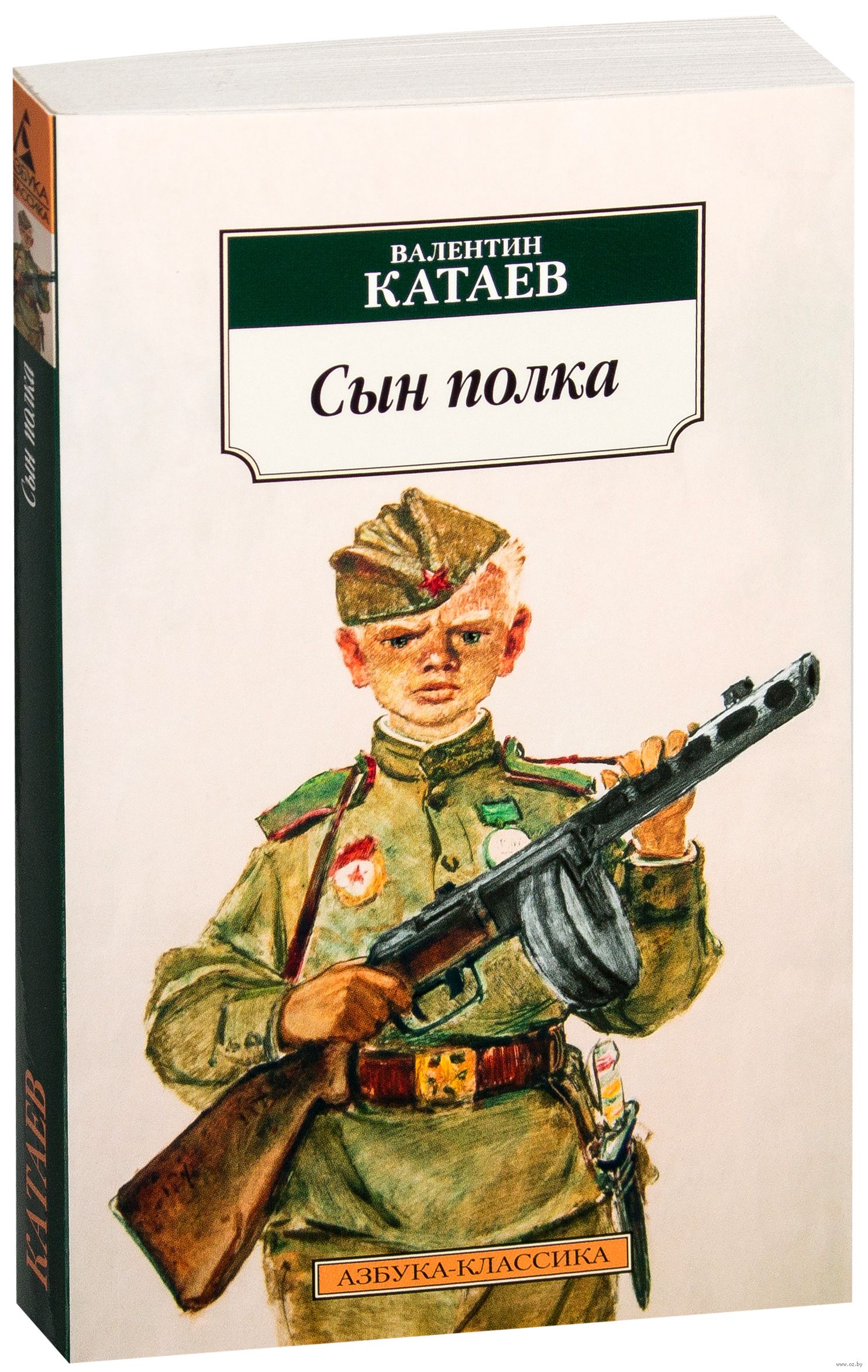 Сын полка краткое содержание аудиокнига. В. Катаев "сын полка".